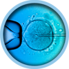 ivf-3