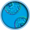 ivf-7